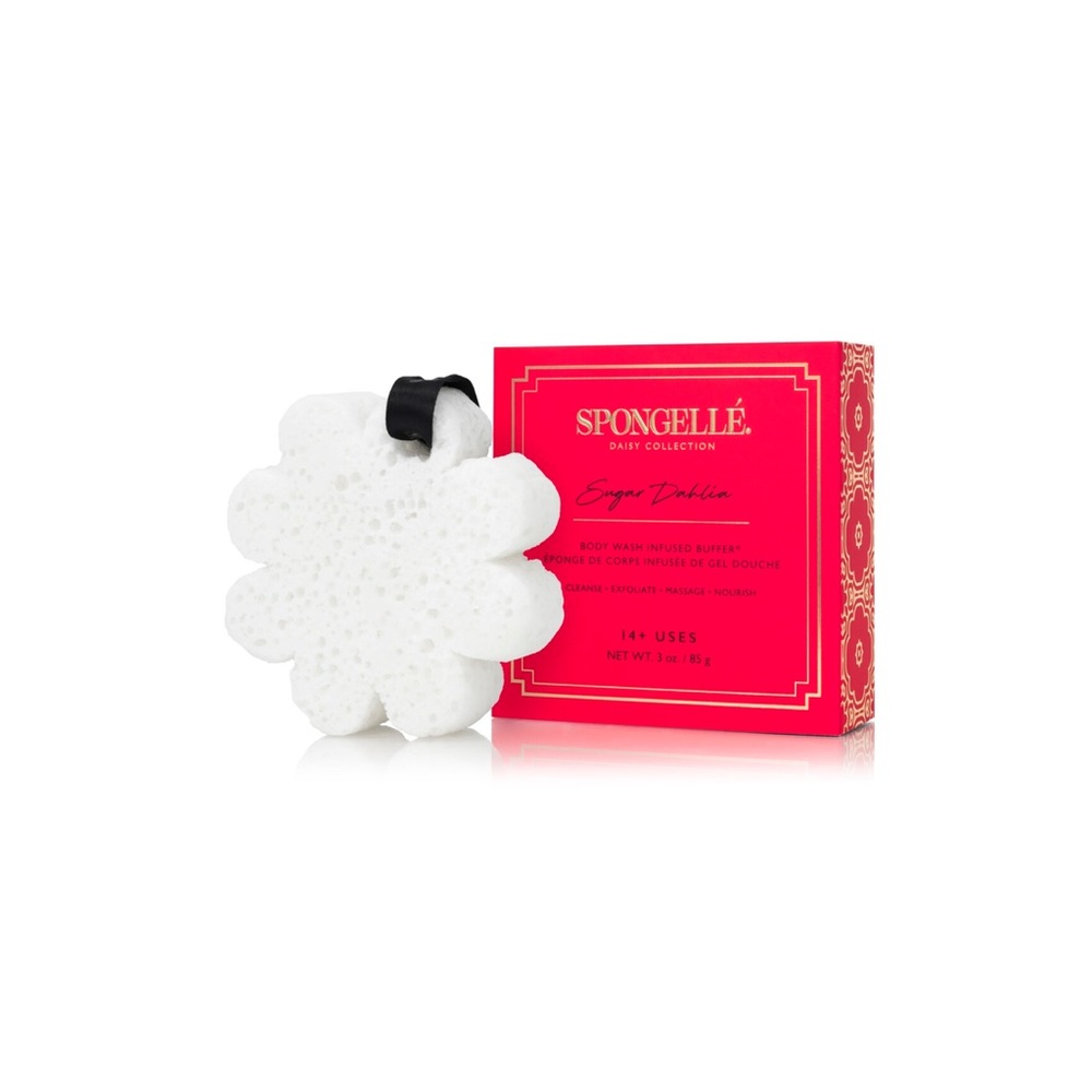 🌸 SPONGELLÉ® Boxed Flower - Sugar Dahlia🌸